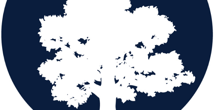 Noches del Botánico Noches del Botánico