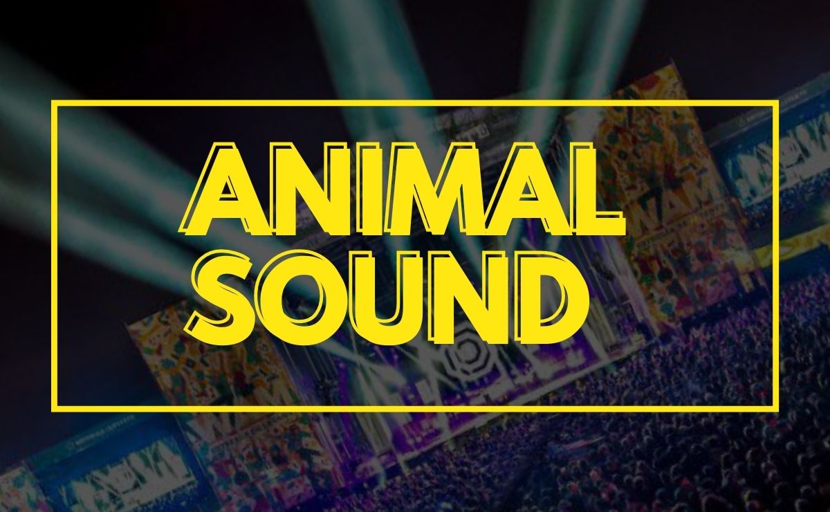 Animal Sound 2026 1 animal sound