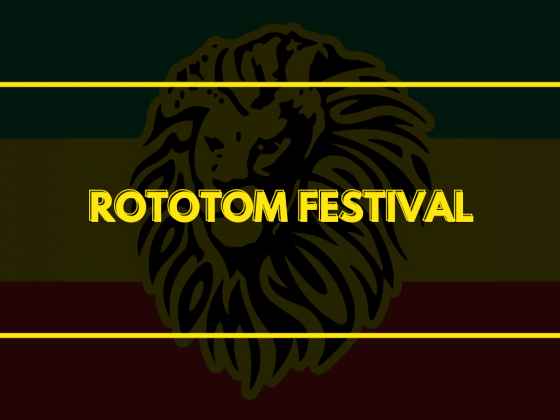 Rototom cancela su edición de 2021 pone fecha para el 2022 6
