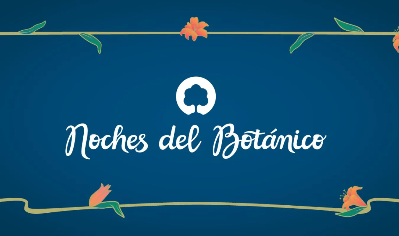 Noches del Botánico desvela el cartel de su novena edición 1 Noches del Botánico desvela el cartel de su novena edición