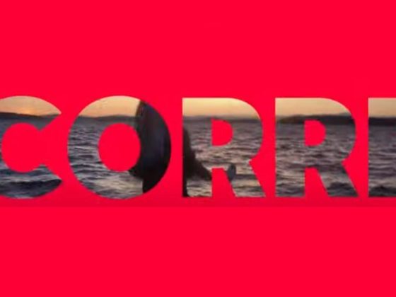 Canción anuncio Seat España 2025 :: Corre Corre Caballito 8 Canción del anuncio de Swarovski