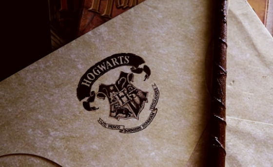 ¿Qué sabemos de la nueva serie de Harry Potter? 13